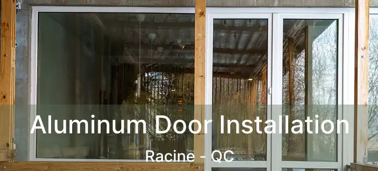  Aluminum Door Installation Racine - QC