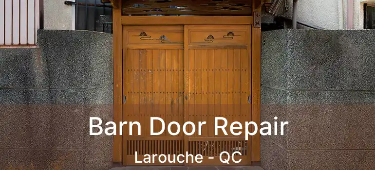  Barn Door Repair Larouche - QC