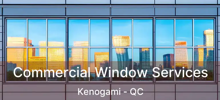 Commercial Window Services Kenogami - QC