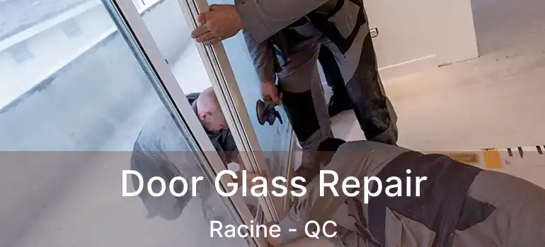  Door Glass Repair Racine - QC