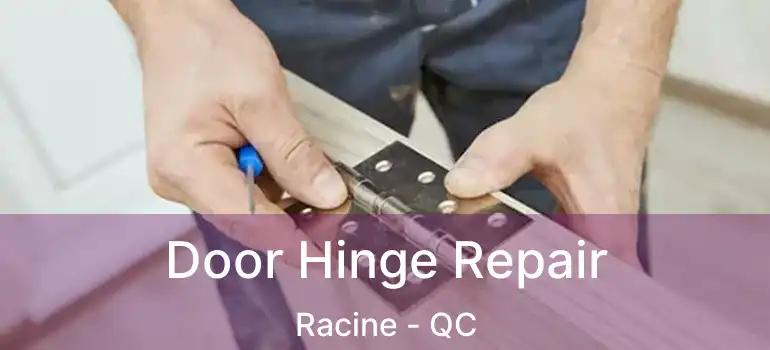  Door Hinge Repair Racine - QC