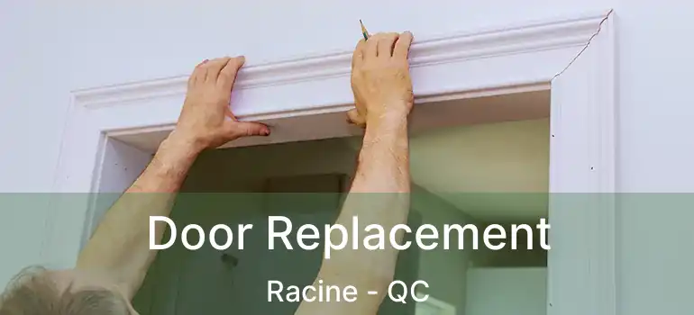  Door Replacement Racine - QC