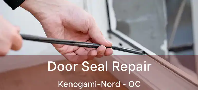  Door Seal Repair Kenogami-Nord - QC