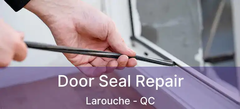  Door Seal Repair Larouche - QC