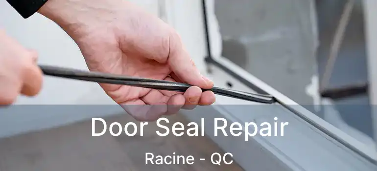  Door Seal Repair Racine - QC