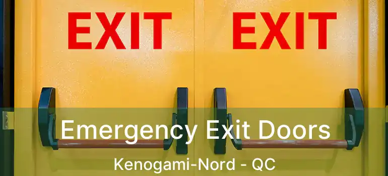  Emergency Exit Doors Kenogami-Nord - QC