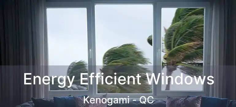  Energy Efficient Windows Kenogami - QC