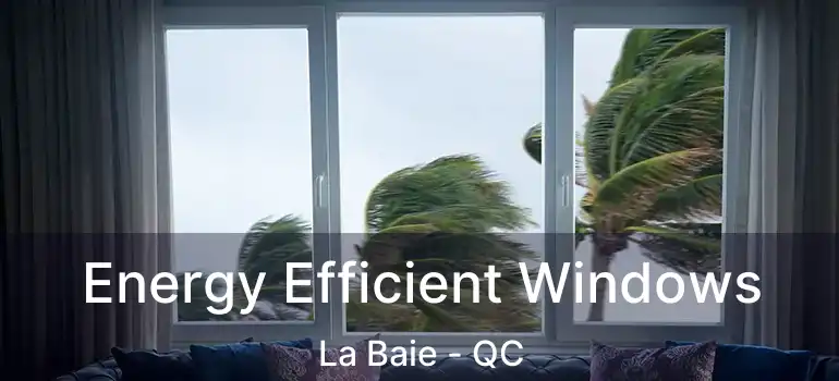  Energy Efficient Windows La Baie - QC