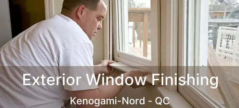  Exterior Window Finishing Kenogami-Nord - QC