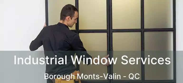  Industrial Window Services Borough Monts-Valin - QC