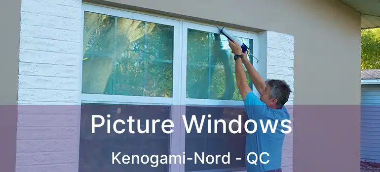  Picture Windows Kenogami-Nord - QC