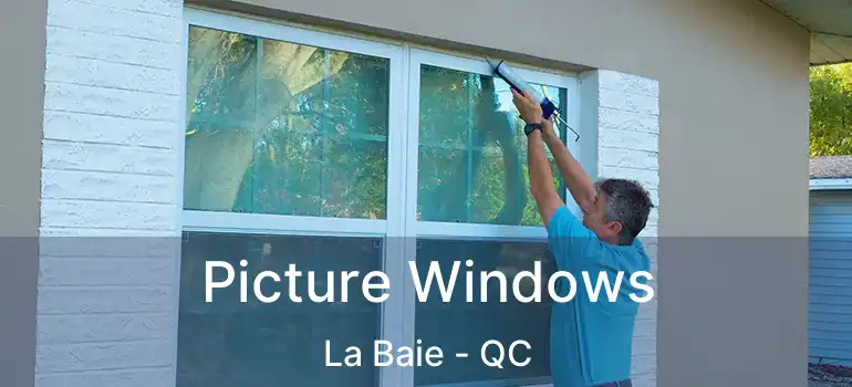  Picture Windows La Baie - QC