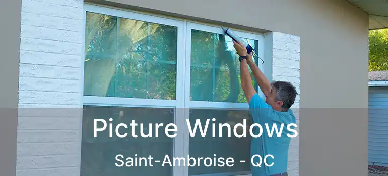  Picture Windows Saint-Ambroise - QC