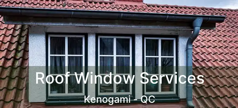  Roof Window Services Kenogami - QC