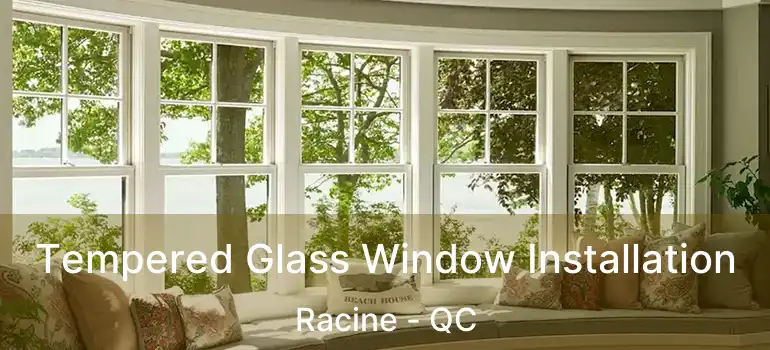  Tempered Glass Window Installation Racine - QC
