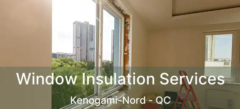  Window Insulation Services Kenogami-Nord - QC