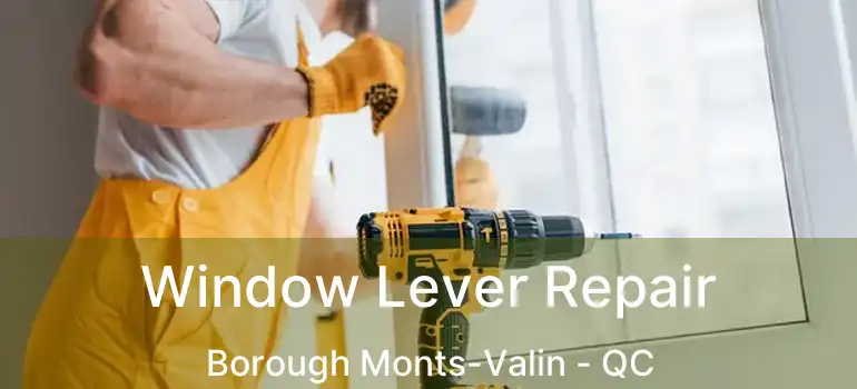  Window Lever Repair Borough Monts-Valin - QC