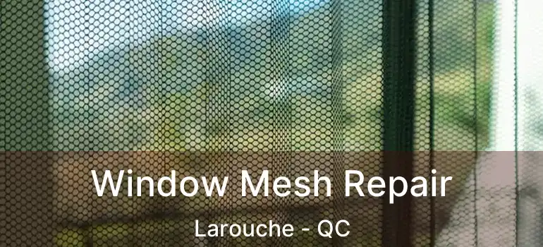  Window Mesh Repair Larouche - QC
