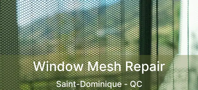  Window Mesh Repair Saint-Dominique - QC