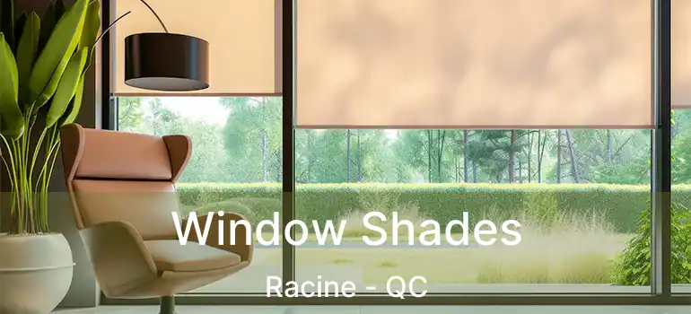  Window Shades Racine - QC