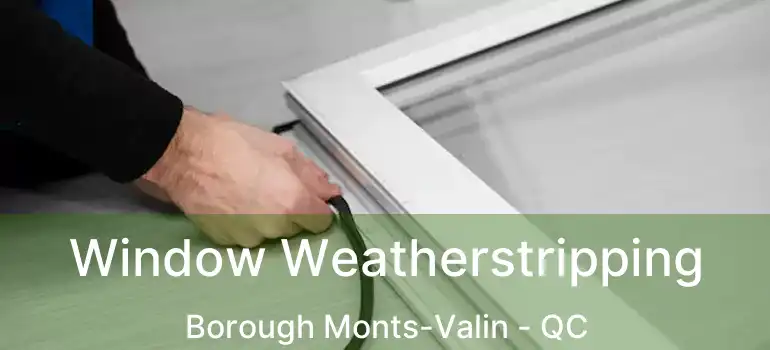  Window Weatherstripping Borough Monts-Valin - QC